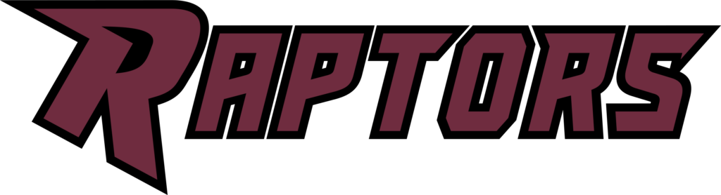 raptors merchandise